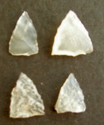 Nenana Complex points